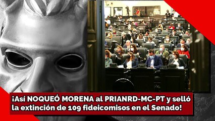 Télécharger la video: ¡Así NOQUEO MORENA al PRIANRD-MC-PT y Selló el Senado la extinción de 109 fideicomisos!