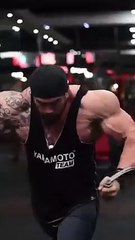 gym status video #shortGym tiktok video  gym workout video