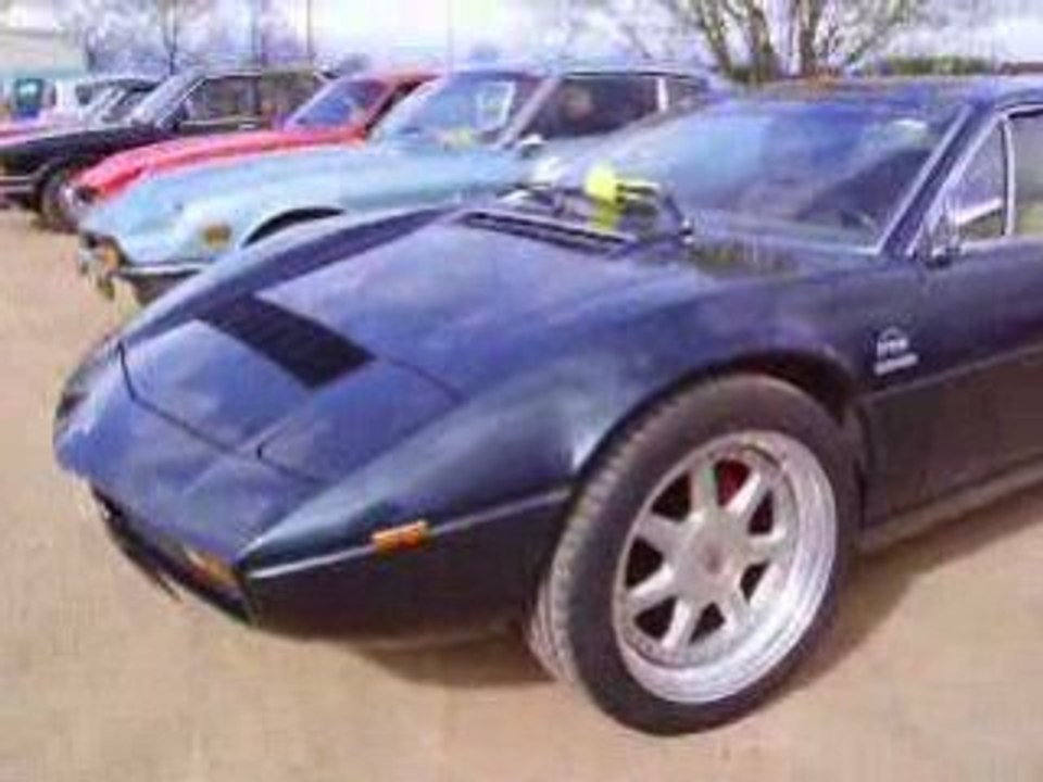 autos anciennes st galmier 42 2008