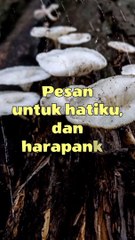 pesan untuk Hatiku