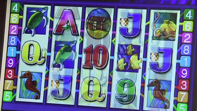 Calls for mandatory cashless gaming cards in pubs and clubs