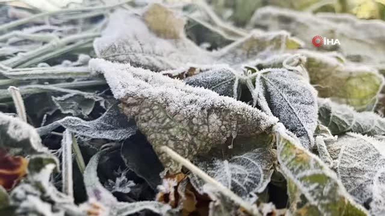 Ağrı haber | Hava sıcaklığının sıfırın altına düştüğü Ağrı'da her yer buz tuttu