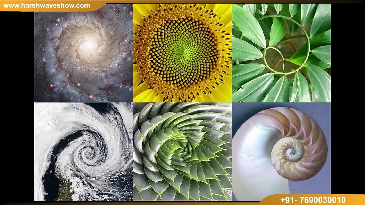 Golden Ratio _ मैं इतनी सुंदर हूँमैं क्या करूँ  Golden Ratio   मैं इतनी सुंदर हूँमैं क्या करूँ 