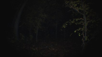 Paranormal Tales Game  - Tráiler de presentación