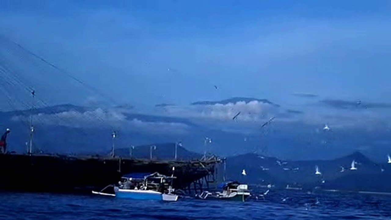 In the morning when going to start fishing in the sea - part 2