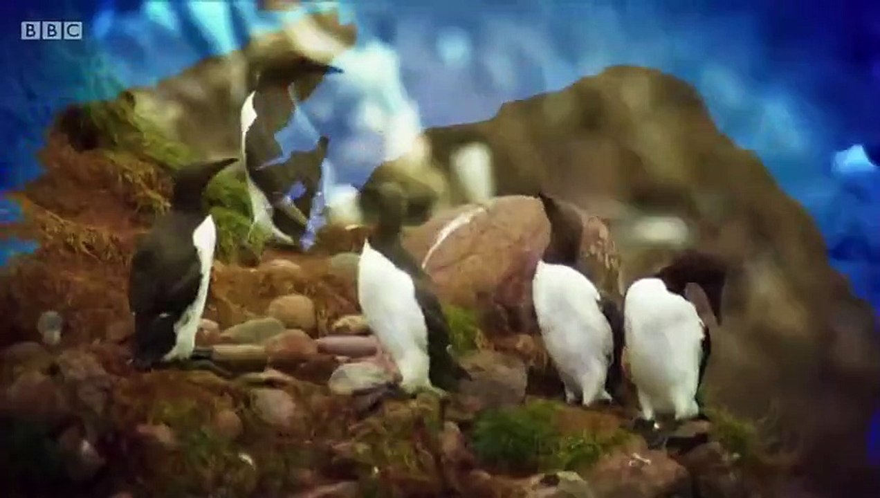 Landward - Se5 - Ep04 HD Watch HD Deutsch