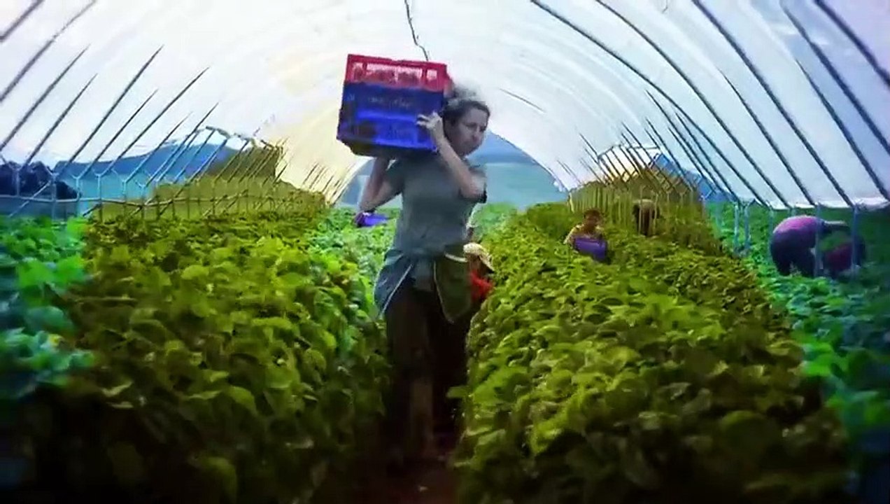 Landward - Se5 - Ep10 HD Watch HD Deutsch