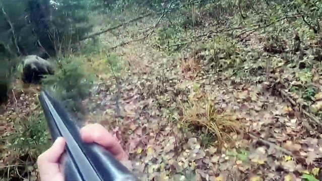 Un chasseur tombe sur un chasseur plus dangereux que lui dans une forêt