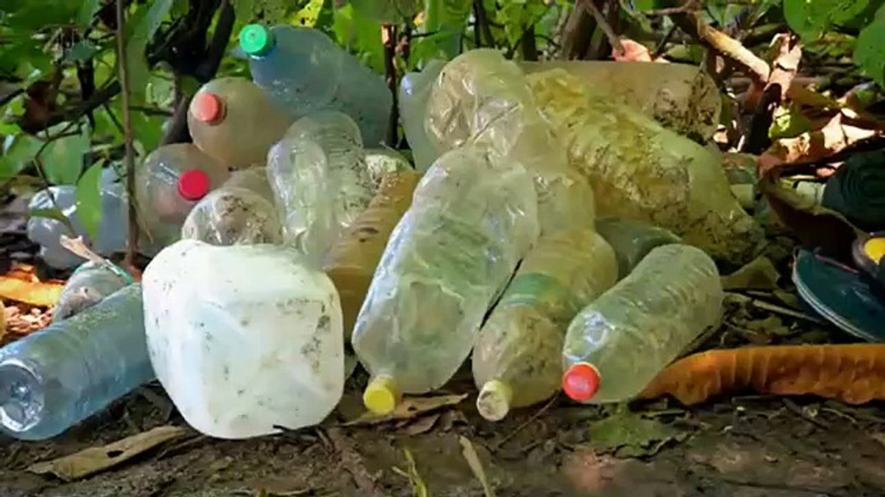 The Island with Bear Grylls - Se2 - Ep05 HD Watch HD Deutsch