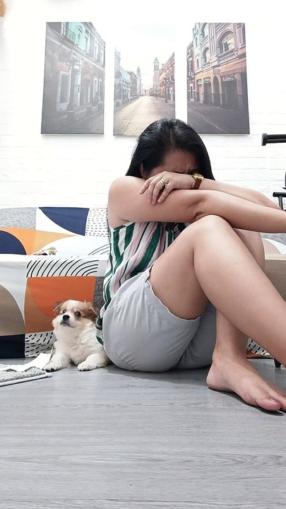 Pup Reacts to Owner's Fake Crying