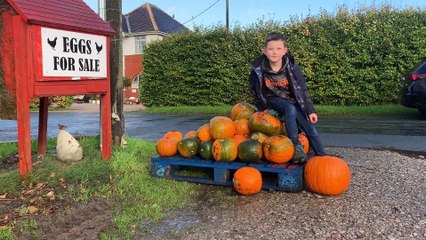 George Owen, nine, with his pumpkin patch in Whitestake, Preston