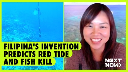 Filipina's invention predicts red tide and fish kill | Next Now