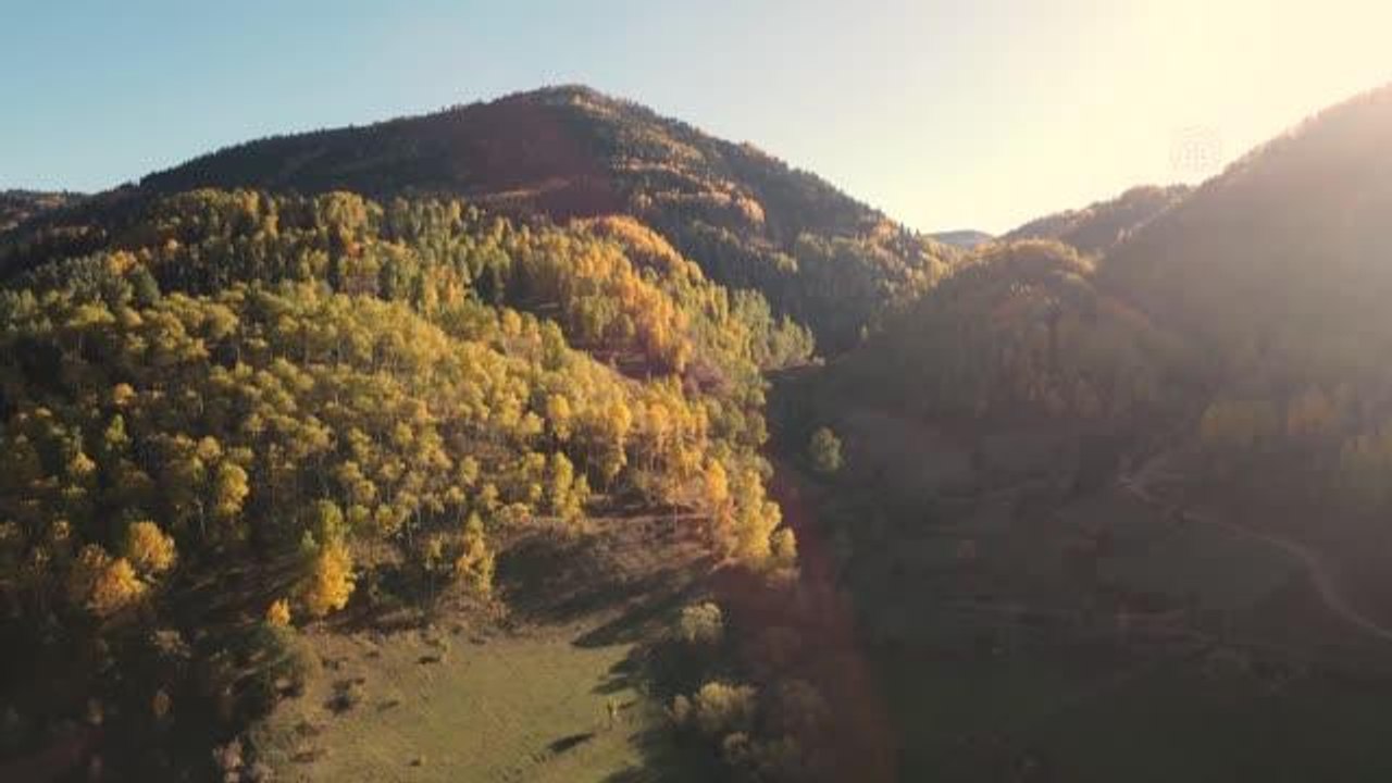 Giresun haber! (DRON) Giresun'un iç kesimlerinde sarı ve yeşilin tonları hakim