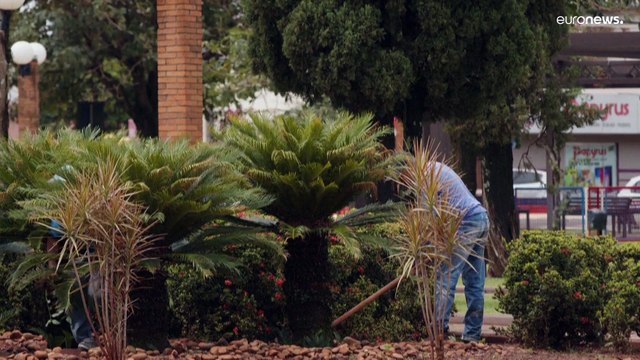 Indígenas brasileiros na pobreza. Não temos terras para plantar