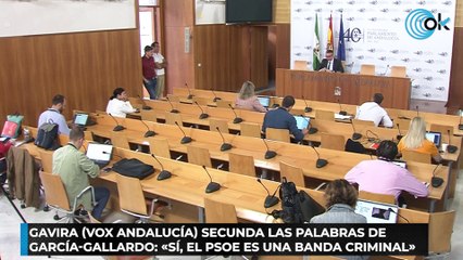 Tải video: Gavira (Vox Andalucía) secunda las palabras de García-Gallardo «Sí, el PSOE es una banda criminal»