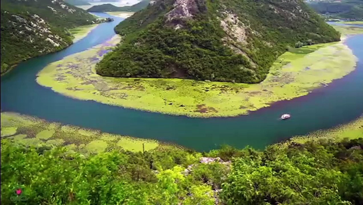 1 HR de musique relaxante pour soulager rapidement les symptômes du stress musique apaisante