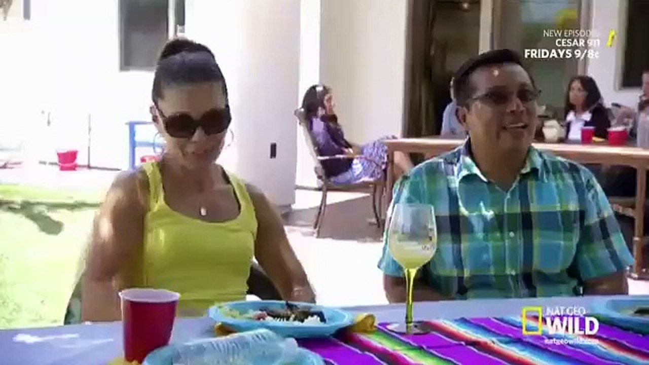 Cesar 911 - Se2 - Ep02 - Kicked to the Curb HD Watch HD Deutsch