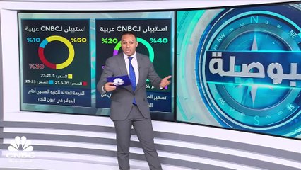 مصر.. تسعير الدولار في الأسواق بأكثر من السعر الرسمي
