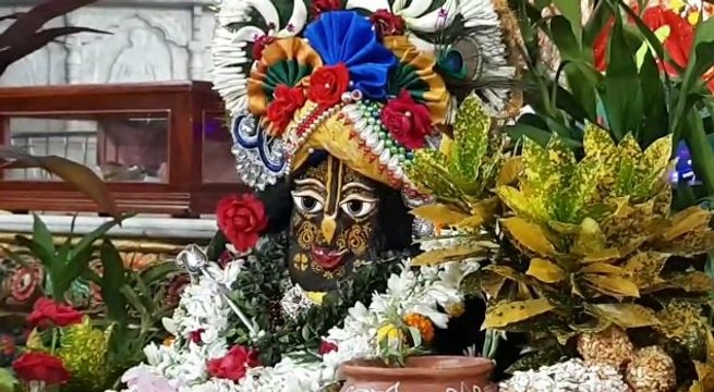 মহাসাড়ম্বরে পালিত হচ্ছে গোবর্ধন পুজো |OneIndia Bengali