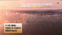 Mother (Korea Drama) - Ep04 HD Watch HD Deutsch