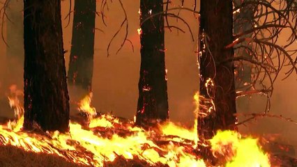 ONU alerta que compromissos sobre clima estão longe de atender Acordo de Paris