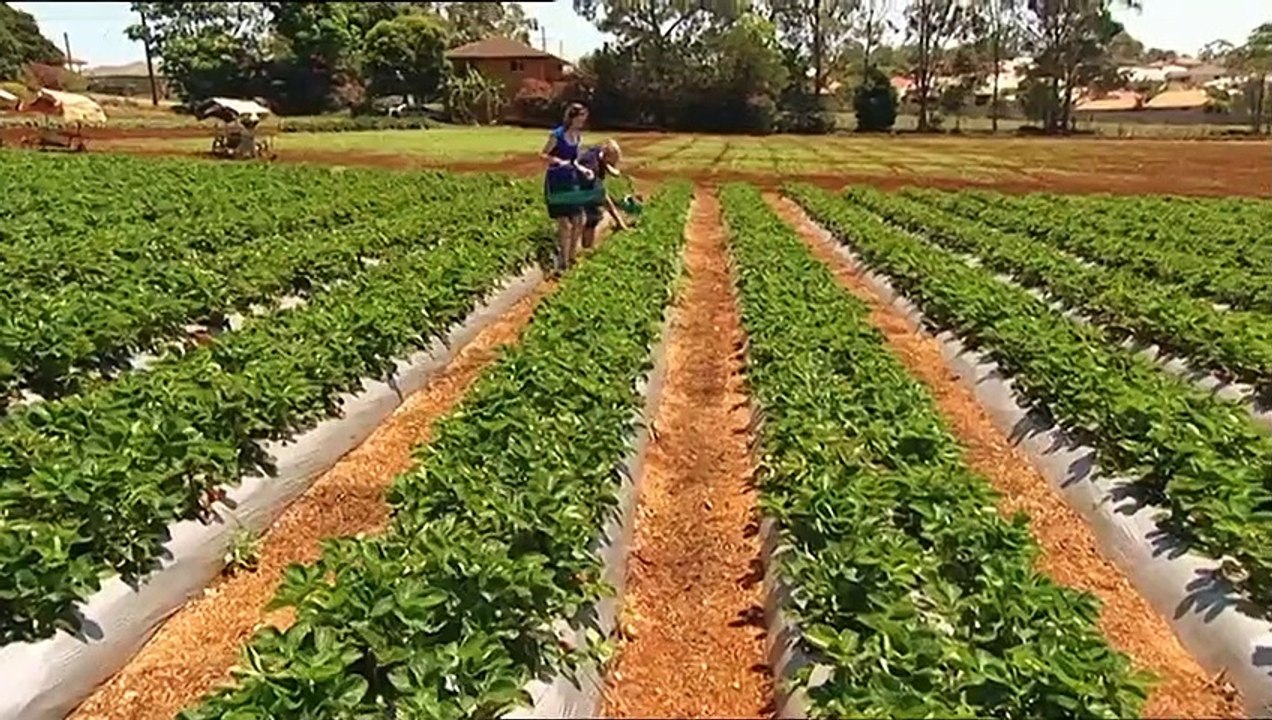 My Kitchen Rules - Se1 - Ep03 HD Watch HD Deutsch