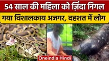 Python Swallows Woman: महिला को जिंदा निगल गया अजगर, लोगों में डर का माहौल | वनइंडिया हिंदी | *News