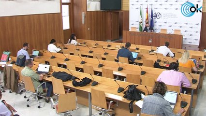 El PP-A se mofa de que el PSOE de los ERE pida explicaciones: «Tienen un elefante difícil de ocultar»