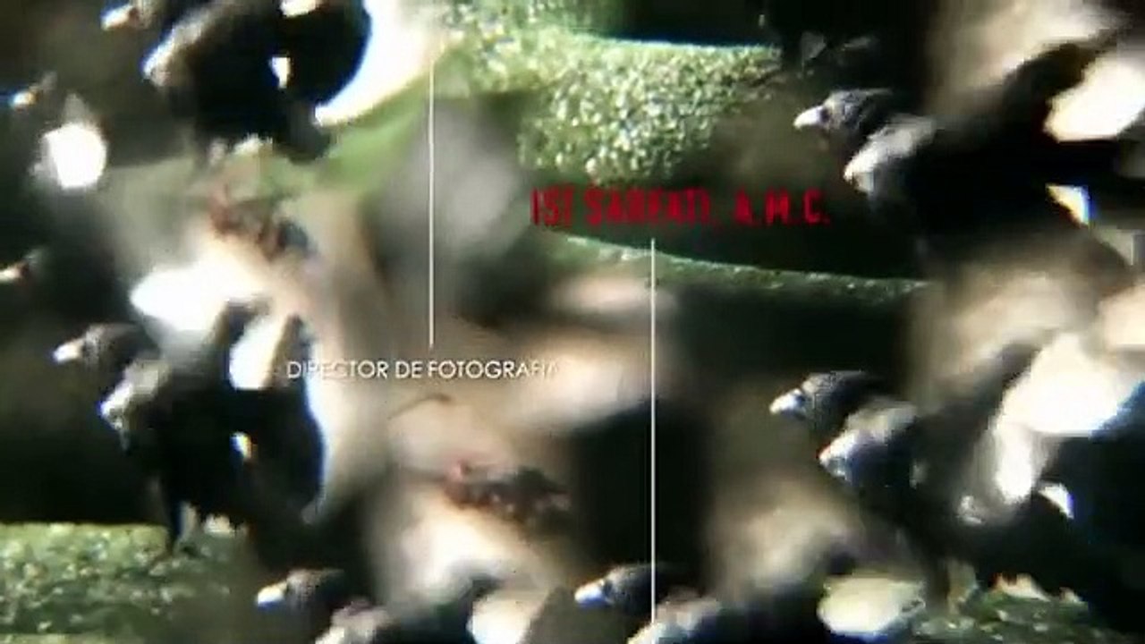 Club de Cuervos - Se1 - Ep06 HD Watch HD Deutsch