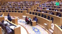 Un senador del PSOE sube a la tribuna, señala el escaño de Feijóo y sentencia así al líder del PP