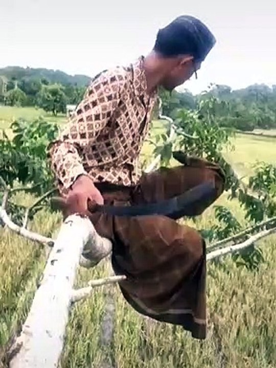 Orang terpintar Sedunia