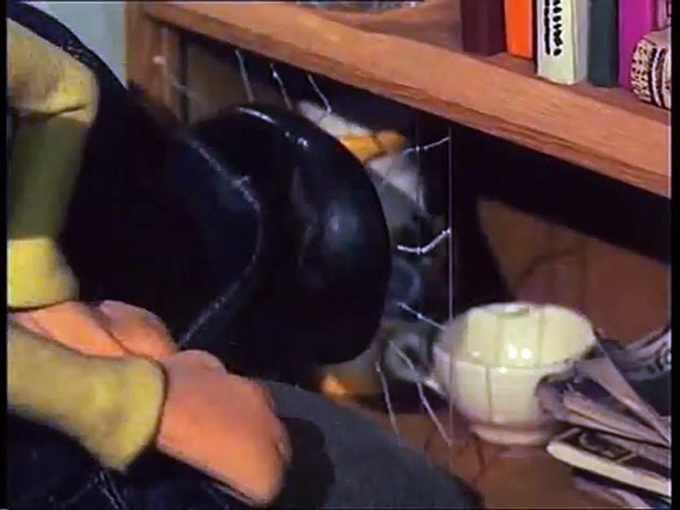 Pat $$ Mat - Se1 - Ep05 HD Watch HD Deutsch