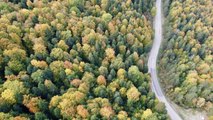 Karabük gündem haberleri | Karabük ormanlarında sonbahar güzelliği