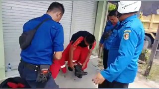 PENANGANAN SARANG LEBAH DITIANG LISTRIK TEGANGAN TINGGI OLEH POS INDUK DAMKARMAT KABUPATEN KATINGAN