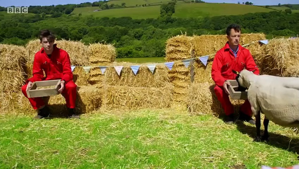 Secret life of farm animals - se1 - ep01 - sheep hd watch hd deutsch