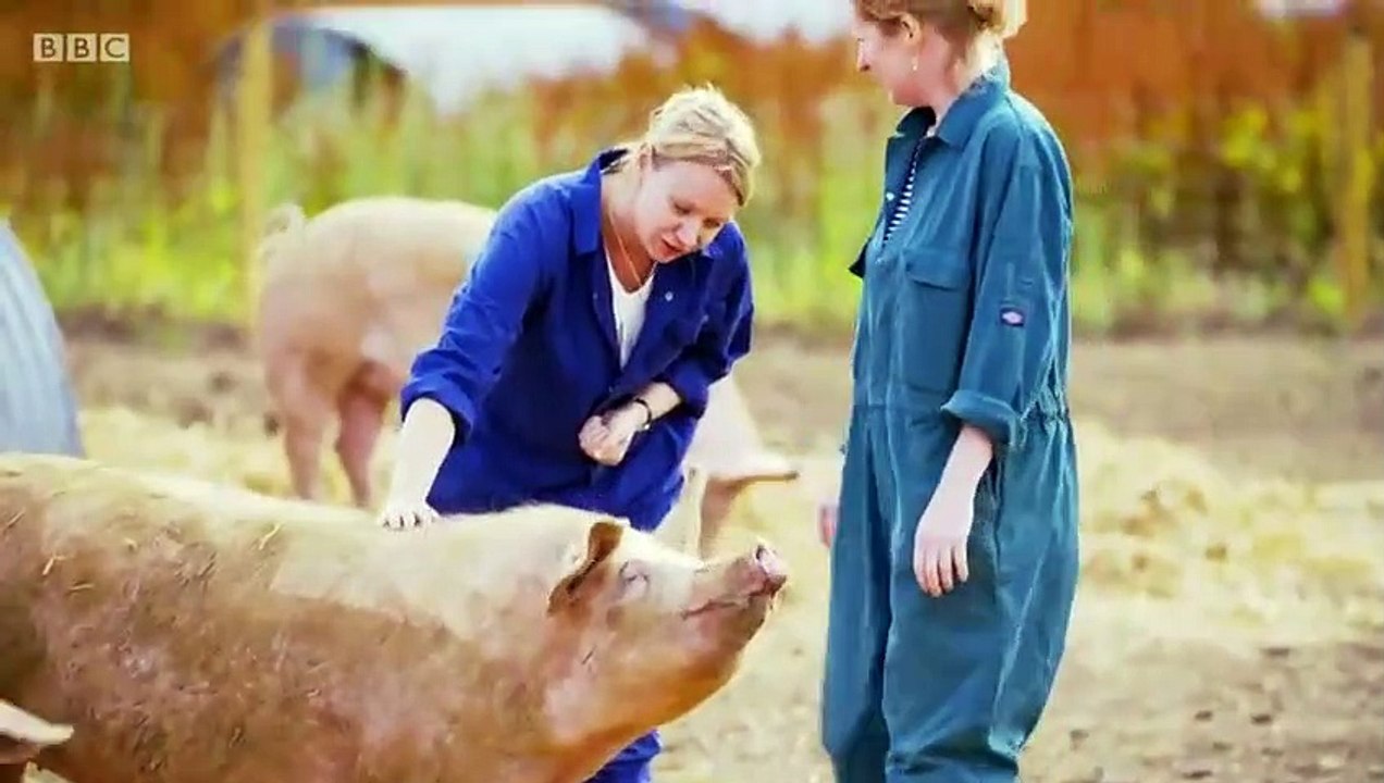 Secret Life of Farm Animals - Se1 - Ep03 - Pigs HD Watch HD Deutsch