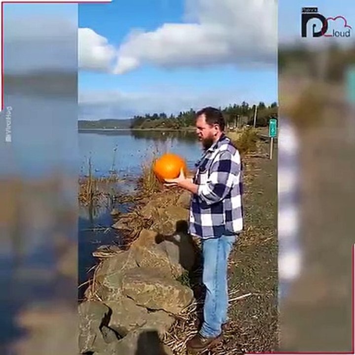 Moment Water