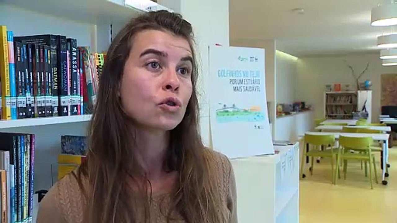 Besondere Besucher in Lissabon: Delfine kehren in den Tajo zurück