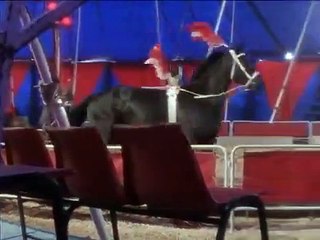 Thunderstone - Se1 - Ep06 HD Watch HD Deutsch