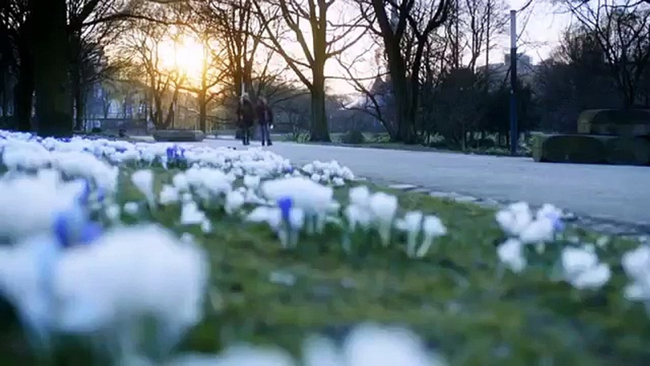 Antboy - revenge of the red fury - ep01 hd watch hd deutsch