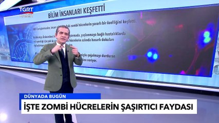 Bilim İnsanları Yaşlandıran Zombi Hücrelerinin Faydasını Buldu! - Tuna Öztunç