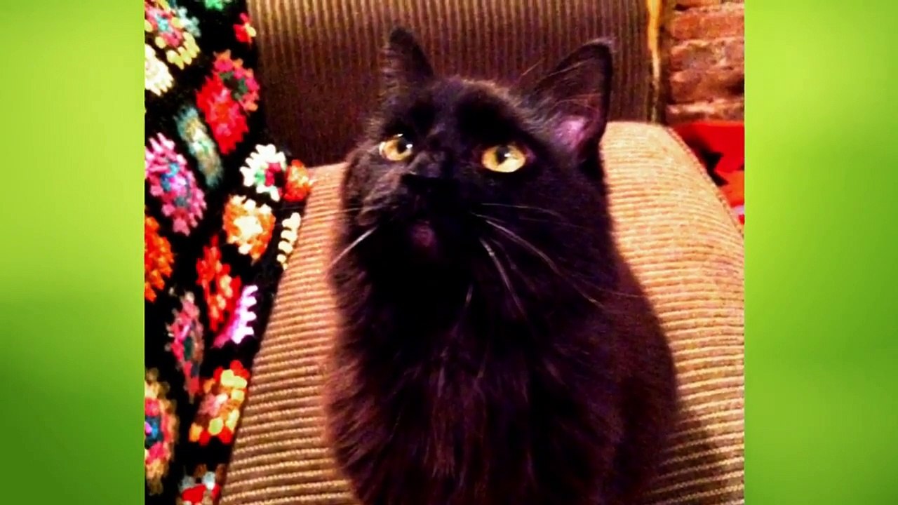 Too Cute! (All Season) - Ep04 HD Watch HD Deutsch