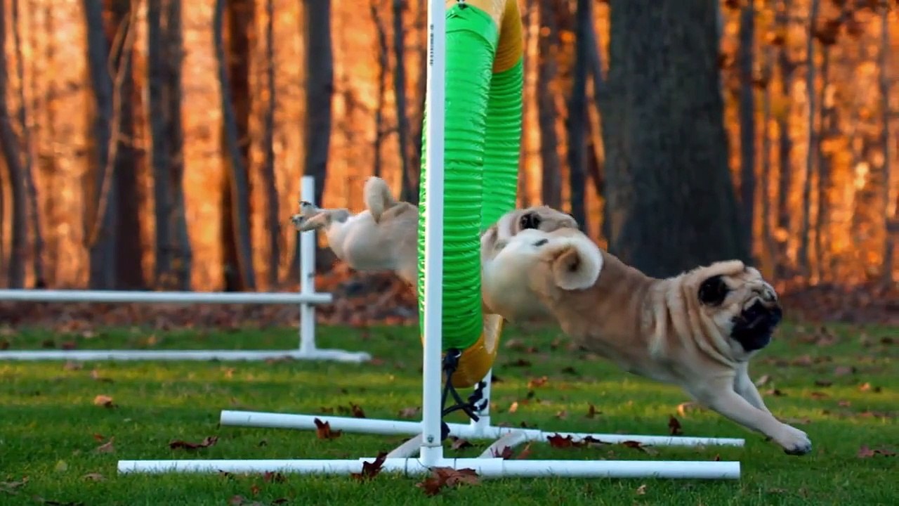 Too Cute! (All Season) - Ep03 HD Watch HD Deutsch