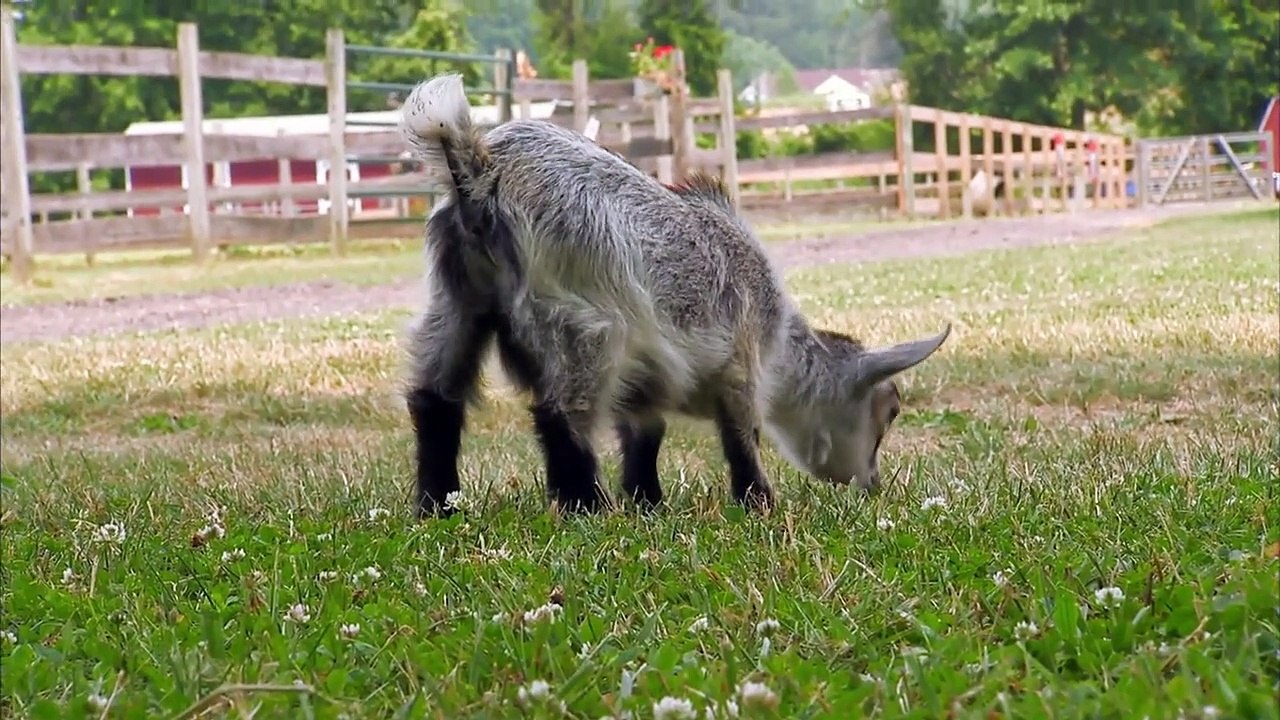 Too Cute! (All Season) - Ep09 HD Watch HD Deutsch