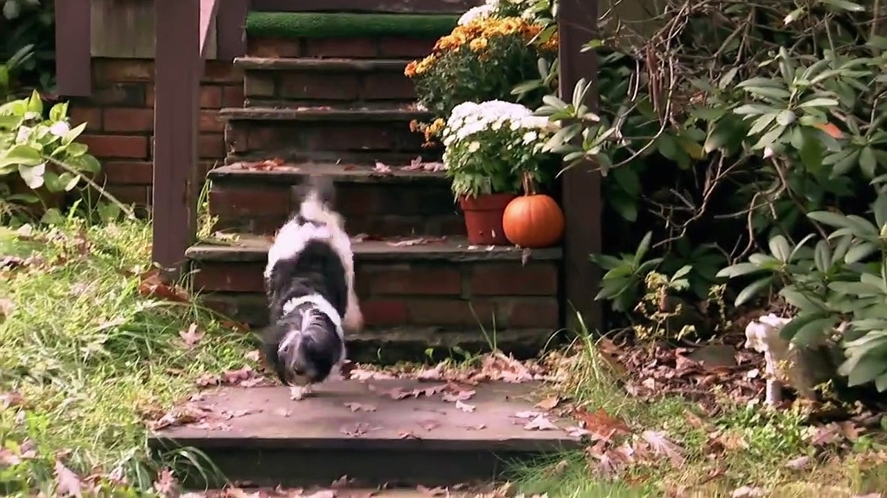 Too Cute! (All Season) - Ep07 HD Watch HD Deutsch