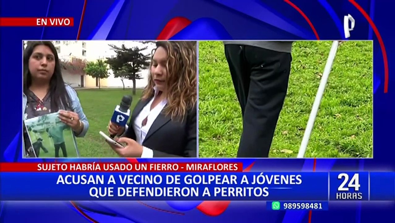 Miraflores: Sujeto agrede con tubo de metal a jóvenes y perritos en parque