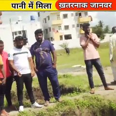 अजीब जानवर जो शायद ही आपने पहले कभी देखा हो