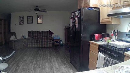 Husky Accidently Causes Kitchen Fire