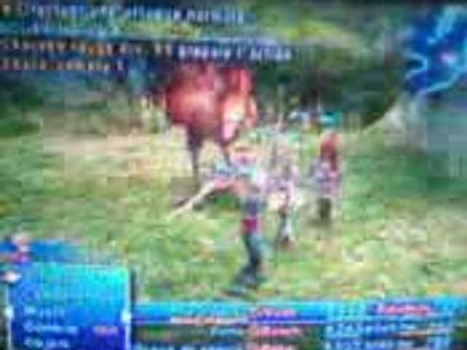 Chocobo lvl.99(2)