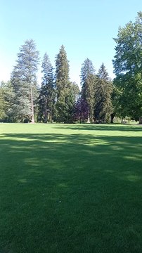 Parc du château de Vizille Musée de la Révolution française Domaine de Vizille #vizille #châteaudevizille #parc #france #2022 (5)